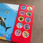 z7359490059960 3064164c5004224c1b964e303f984d82