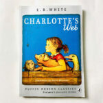 z7382889036907 1fbca044cc6e2658e44f5f2445baa4e8