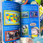 z7413146353443 7c2c3ab3332da2da17310be97fd91c8c