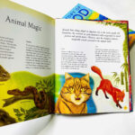 z7416119908736 cfe6a5ad6a40e3f7c190a311da0dd821