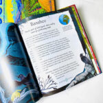 z7416119908832 26a91f42d7a505af02a1f1d8655504a0