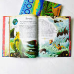 z7416119908906 eda4ce010012ad3352739755e5c508a4