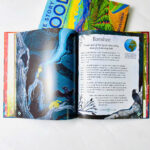 z7416119953758 aca6f2cf365e03a056b8d541eb1cc502