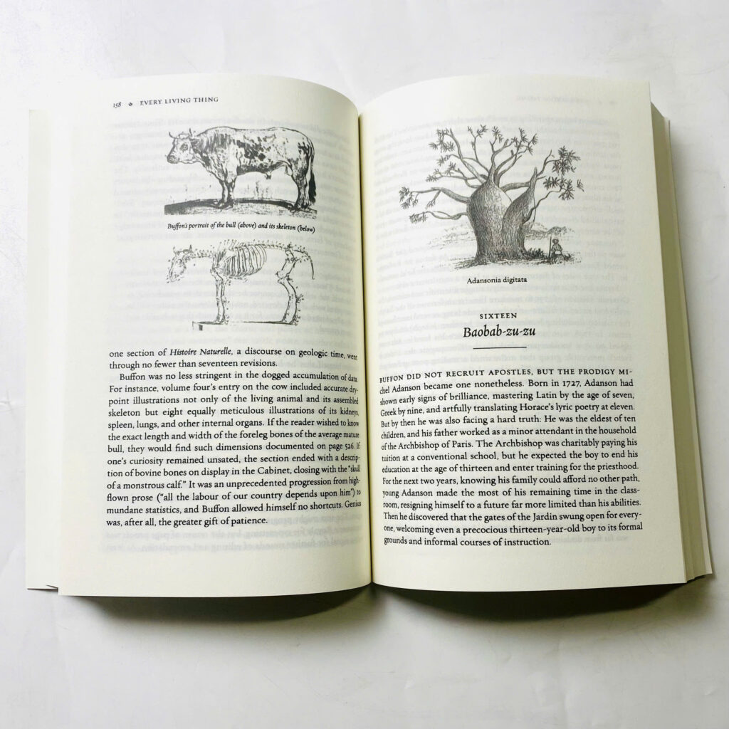 z7426702699393 b46274995b2b80a63d4591c31b120274