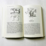 z7426702699393 b46274995b2b80a63d4591c31b120274