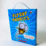 Fly Guy Phonics