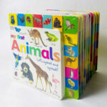 z7436884946416 74fa1ce798e31e74f91a7ddb86f67c3c