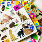 z7436885059433 1fe00146aea519800a30219c811a3b32